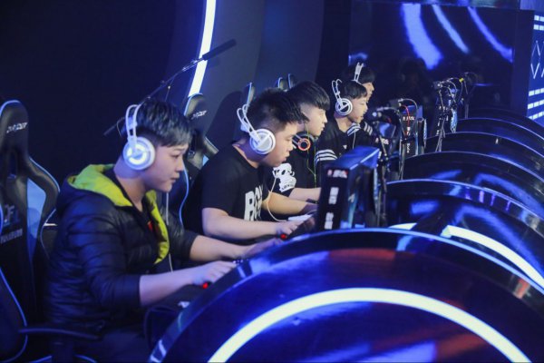 的数据不会 的数据不会