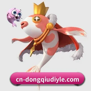 懂球帝 APP